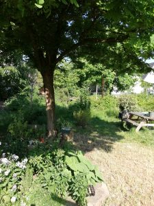 IMG_20250517_093708