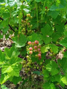 IMG_20250517_103602