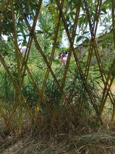 IMG_20250517_103857
