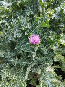 IMG_20250517_104438